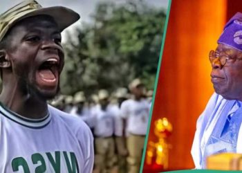 President Tinubu Rejects N942bn Census Budget; Proposes the use NYSC Corp Members